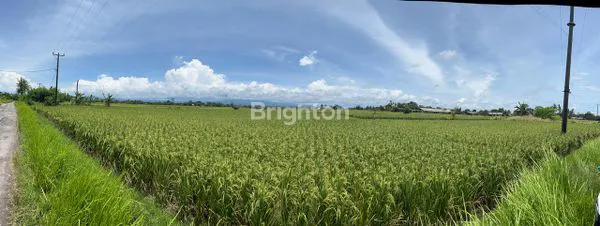image TANAH SEWA DEKAT PANTAI KELATING (7)