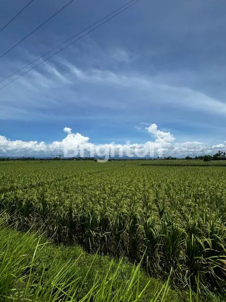 image TANAH SEWA DEKAT PANTAI KELATING (4)