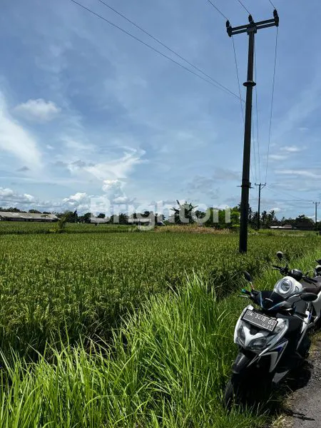 image TANAH SEWA DEKAT PANTAI KELATING (6)