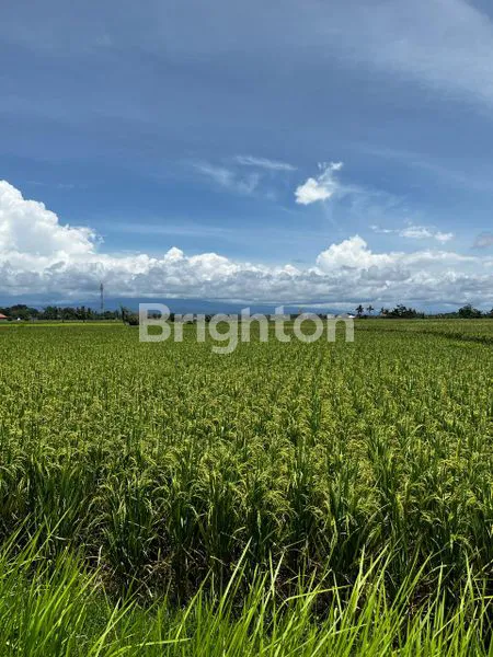 image TANAH SEWA DEKAT PANTAI KELATING (3)