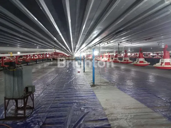 image DIJUAL KANDANG AYAM DI DAWAR, MOJOKERTO (3)