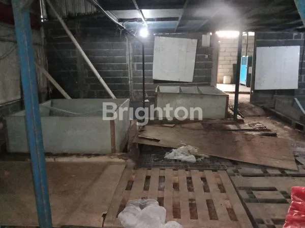 image DIJUAL KANDANG AYAM DI DAWAR, MOJOKERTO (5)