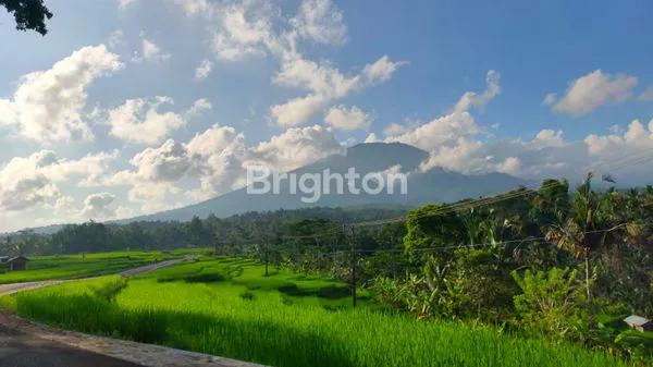 image TANAH CANTIK  WONG AYA GEDE TABANAN BALI..1200 DAN 600 M2 (3)