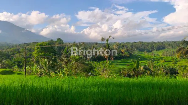 image TANAH CANTIK  WONG AYA GEDE TABANAN BALI..1200 DAN 600 M2 (1)