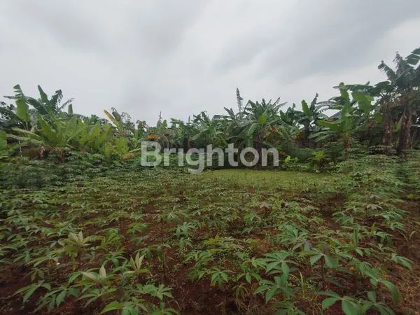 image TANAH PINGGIR JALAN PENGASINAN (1)