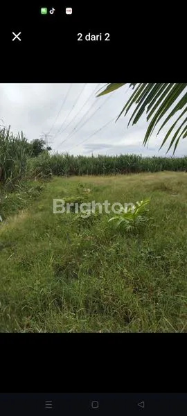 image TANAH TEGALAN (2)