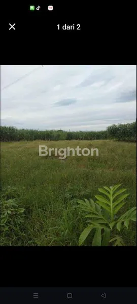 image TANAH TEGALAN (1)