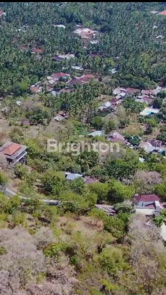 image TANAH DI DEKAT PANTAI LOVINA (3)