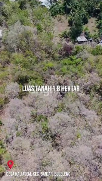 image TANAH DI DEKAT PANTAI LOVINA (8)