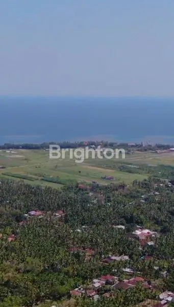 image TANAH DI DEKAT PANTAI LOVINA (2)