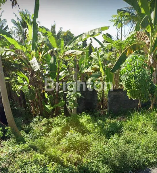 image TANAH SABA BLAHBATUH GIANYAR (1)