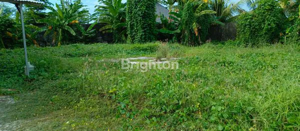 image GUDANG DENGAN TANAH LUAS (4)