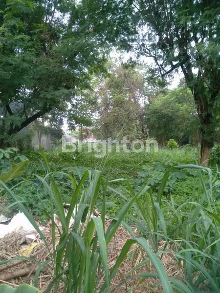 TANAH DI PINGGIR JALAN DEKAT KELURAHAN RANGKAPAN JAYA