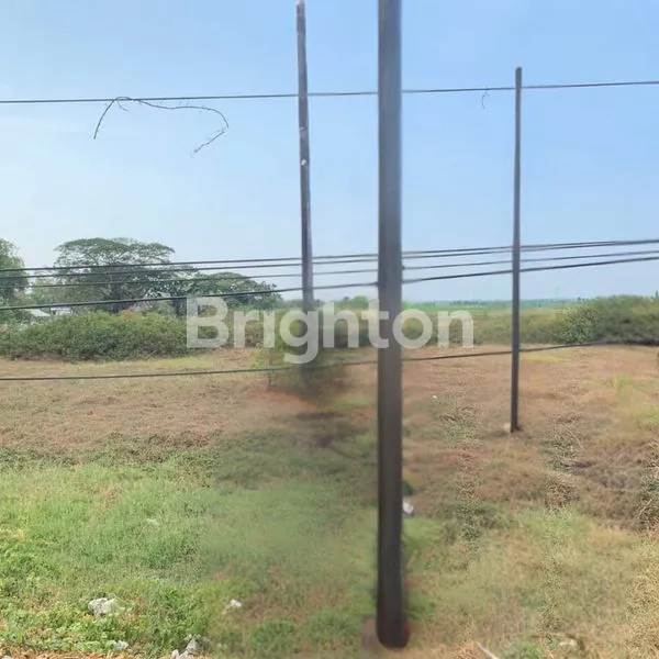 TANAH LUAS DI DAERAH SUBANG