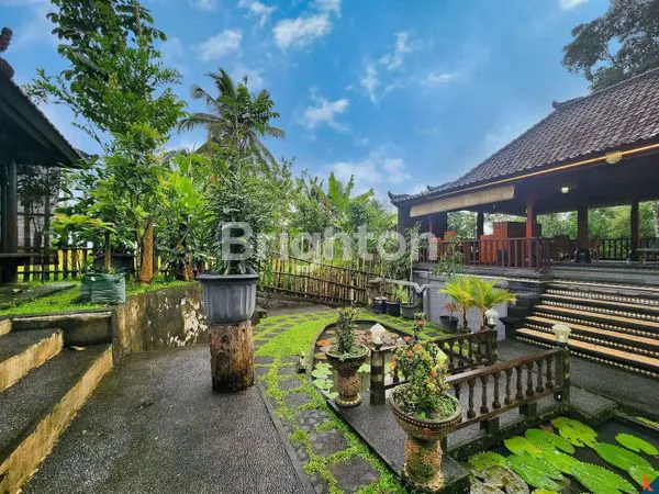 VILLA PRIVATE LOSS SUNGAI ASRI VIEW GUNUNG DAN SAWAH DI TABANAN