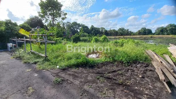 image TANAH DIJUAL DENGAN VIEW SAWAH 10 MENIT DARI PANTAI KEDUNGU DAN LUNA BEACH CLUB (1)