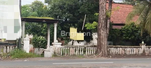 image TANAH ZONA PERNIAGAAN POTENSIAL GUDANG 0 JALAN RAYA AKSES SEMUA KENDARAAN BESAR AREA KEJAPANAN-GEMPOL-PASURUAN  (3)