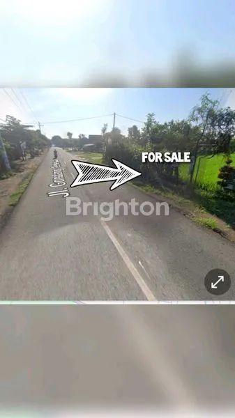 image TANAH DIJUAL CEPAT  (1)