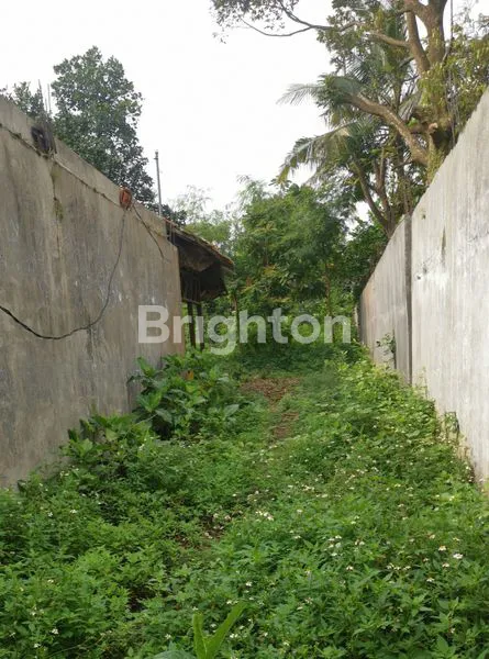 image TANAH DEKAT KAMPUS UNDIP/ JL DURIAN (2)