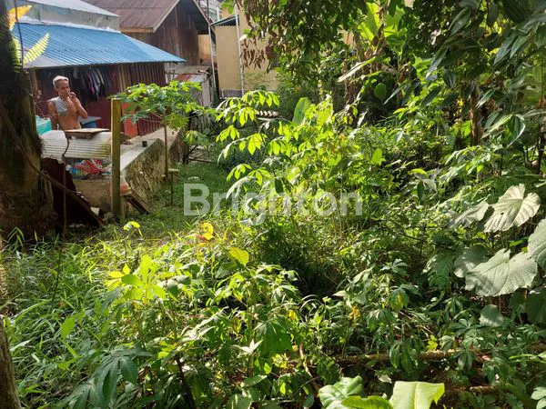 image INVESTASI TANAH PREMIUM 31X82M DI MELANTI ANJOSMORO PALARAN (8)