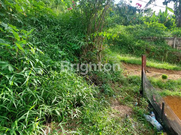 image INVESTASI TANAH PREMIUM 31X82M DI MELANTI ANJOSMORO PALARAN (5)