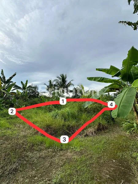 image TANAH DI DAERAH SINDANG SARI KUKAR (3)