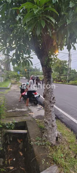 image TANAH JANTUNG KOTA DENPASAR (5)