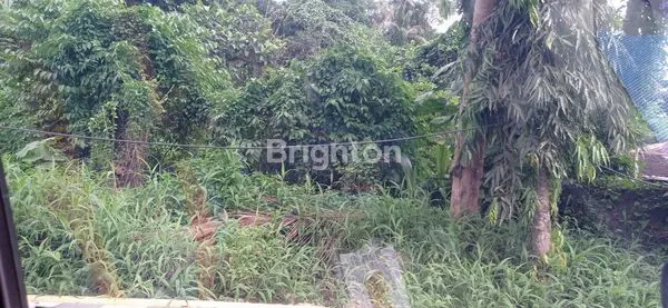 image DISEWAKAN TANAH JL. JUANDA,SAMARINDA (2)