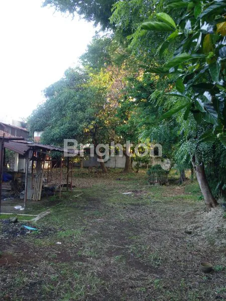 image DIJUAL TANAH 1300 M,ADA RUKO NYA JUGA (6)