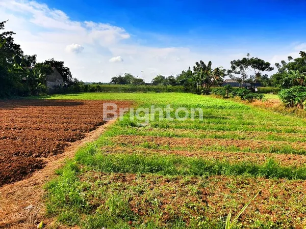 image LAHAN TANAH BABELAN BEKASI (1)