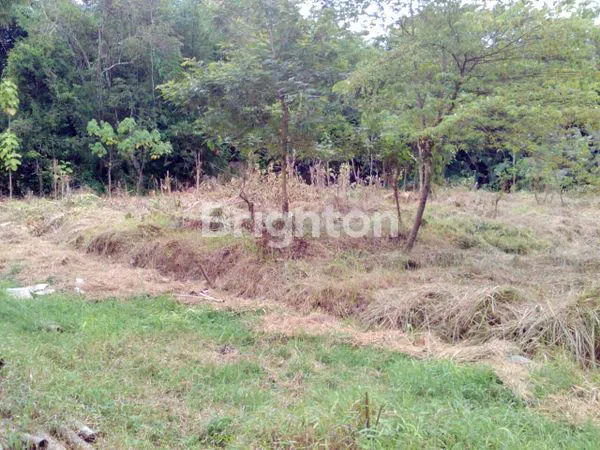 DIJUAL TANAH PEKARANGAN LUAS DAN STRATEGIS DI MOYUDAN, KABUPATEN SLEMAN, DAERAH ISTIMEWA YOGYAKARTA