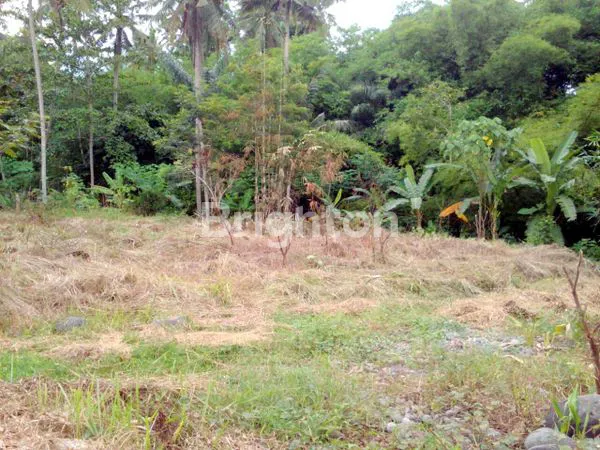 DIJUAL TANAH STRATEGIS DI MOYUDAN, KABUPATEN SLEMAN, DAERAH ISTIMEWA YOGYAKARTA