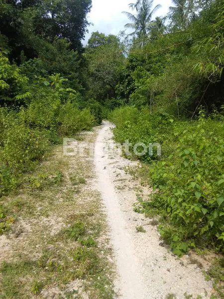image TANAH CRYSTALBAY NUSA PENIDA (3)