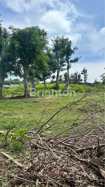 TANAH KAVLING DI PECATU