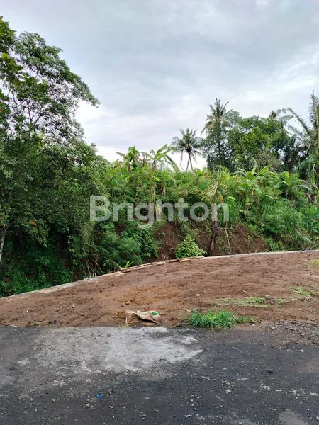 image TANAH PREMIUM AREA SABA (5)