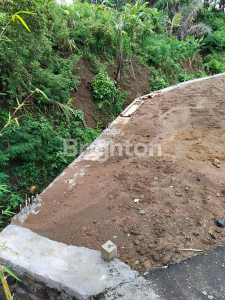 image TANAH PREMIUM AREA SABA (7)