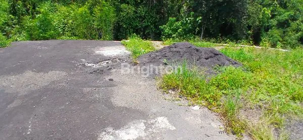 image TANAH PREMIUM AREA SABA (3)