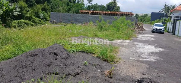 image TANAH PREMIUM AREA SABA (1)