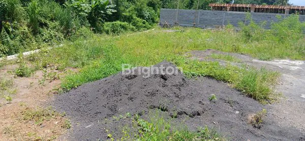 image TANAH PREMIUM AREA SABA (2)