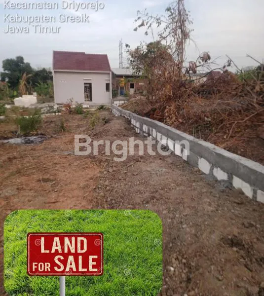 image DI JUAL TANAH LOKASI DUSUN/DSN JUWET, DRIYOREJO - GRESIK (2)