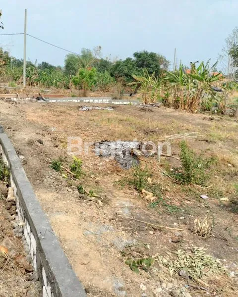 image DI JUAL TANAH LOKASI DUSUN/DSN JUWET, DRIYOREJO - GRESIK (3)