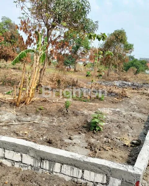 image DI JUAL TANAH LOKASI DUSUN/DSN JUWET, DRIYOREJO - GRESIK (6)