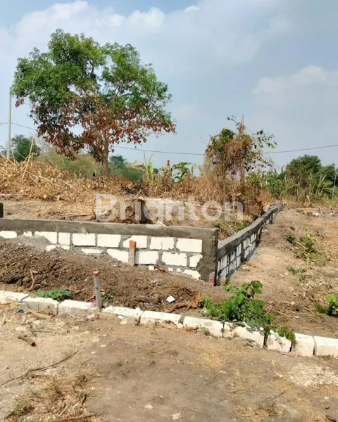 image DI JUAL TANAH LOKASI DUSUN/DSN JUWET, DRIYOREJO - GRESIK (4)