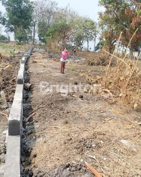 image DI JUAL TANAH LOKASI DUSUN/DSN JUWET, DRIYOREJO - GRESIK (5)