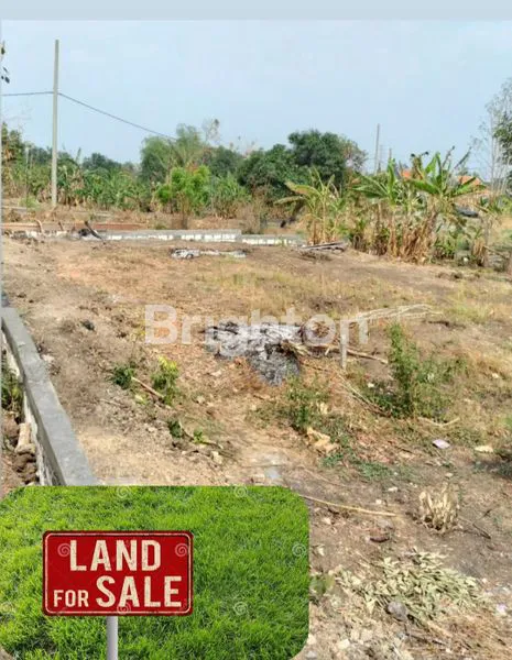 image DI JUAL TANAH LOKASI DUSUN/DSN JUWET, DRIYOREJO - GRESIK (1)