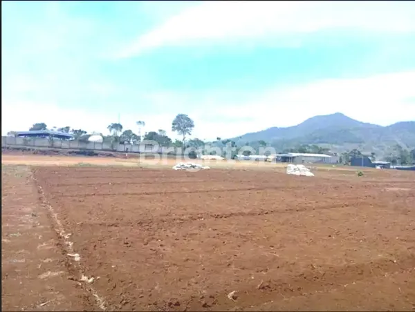 image TANAH MATANG DESA RAHARJA, SUMEDANG-JAWA BARAT (2)