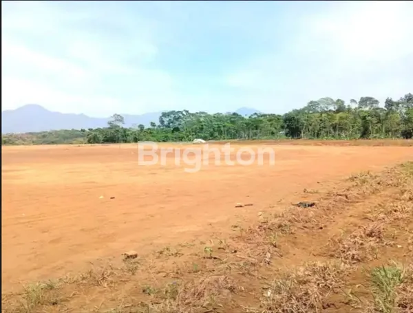 image TANAH MATANG DESA RAHARJA, SUMEDANG-JAWA BARAT (3)