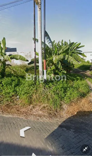 image TANAH POJOK COCOK UNTUK INVESTASI GUNUNG ANYAR TAMBAK (1)