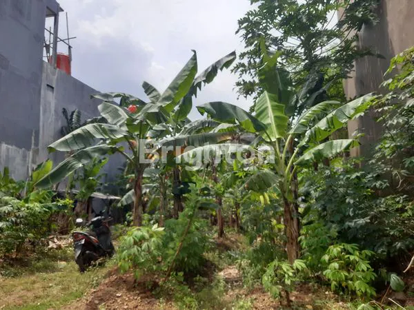 TANAH DI SUMURBOTO BANYUMANIK SEMARANG