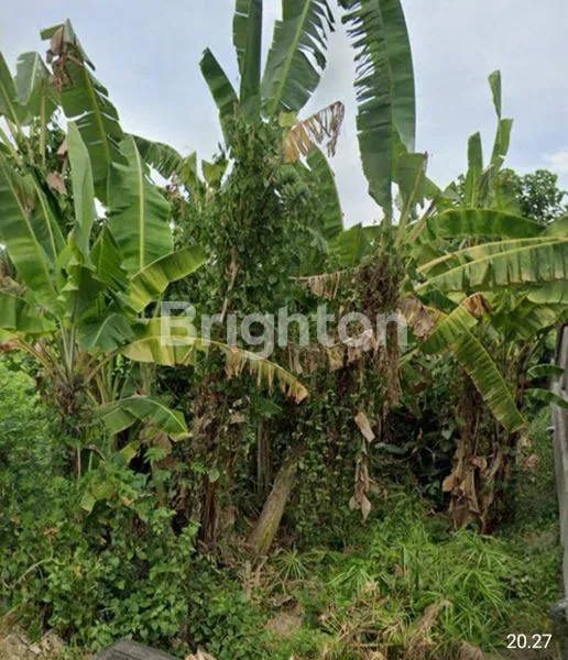 image DIJUAL TANAH PINGGIR JALAN, BULELENG BALI (4)